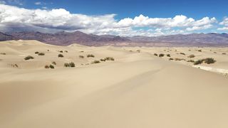 "Discover the Untamed Beauty: A Captivating Exploration of Nature in the Desert"