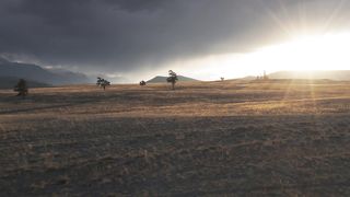 "Dunes Unveiled: Embracing the Wilderness in Nature's Silent Embrace"