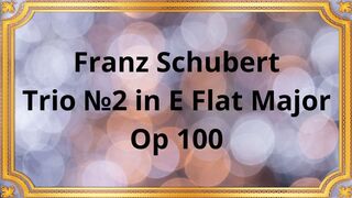 Franz Schubert Trio №2 in E Flat Major, Op 100