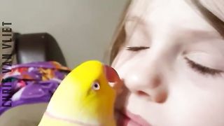 Adorably Cute Birds