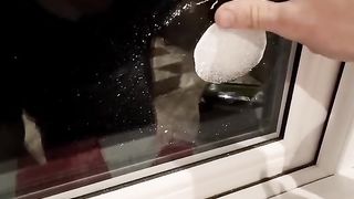 Snow Spray Art