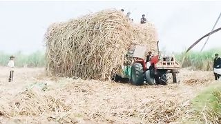 Tractor ???? 11