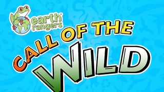 Funny Talking Animals