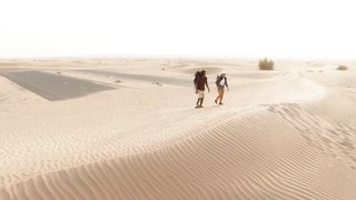 "Desert Dreams: A Cinematic Ode to the Mystical Beauty of Arid Landscapes"