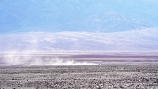 "Silent Symphony of the Sands: Nature's Unseen Wonders in the Desert"