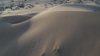 "Sands of Splendor: An Immersive Exploration of the Desert's Hidden Treasures" 3