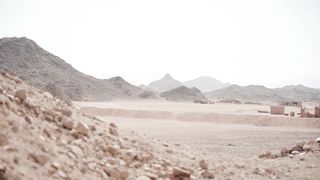 "Sands of Splendor: An Immersive Exploration of the Desert's Hidden Treasures" 2