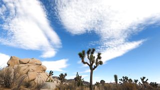 "Whispers in the Wind: Unraveling the Secrets of the Desert's Silent Symphony"