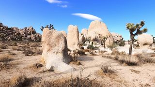 "Desert Alchemy: Unveiling the Mystique of Nature's Canvas"
