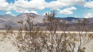 "Sands of Solitude: A Cinematic Exploration of the Desert's Timeless Beauty"