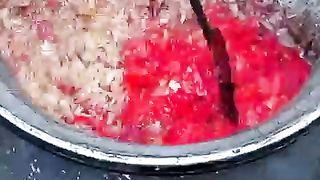 Degi biryani