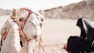 "Footprints in the Sand: A Cinematic Journey Through the Desert's Untold Stories"