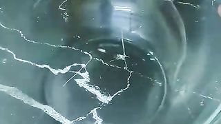 Tikka chikn