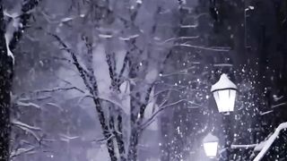 Жизнь 81