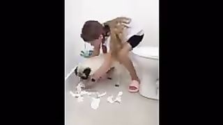 Nouvelles vidéos d'animaux drôles sur les chats et les chiens les plus drôles