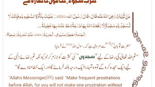 اسلامی معلومات Like share follow 119