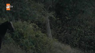 Kurulus Osman Urdu I Season 5 - Episode 7