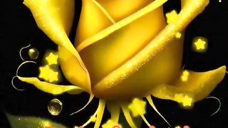Un fiore per  te.