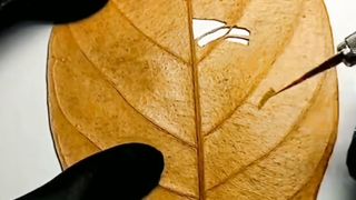 Ukir daun versi syeh Andul Qodir Jaelani