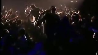 Simpatía por el diablo -The Rollins Stones