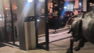 VID_55170107_041432_560. 10