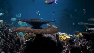 Fish aquarium #fish