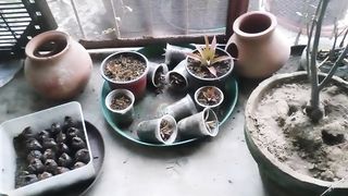 ہمارا اتنا زیادہ نقصان کیسے ہوا