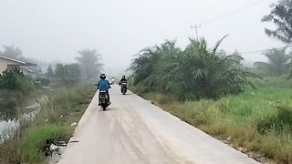 Embun pagi