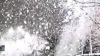 winter season 2