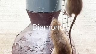 Amazing and informative video