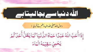 Allah Dunya Se Bacha Leta Hai | اللہ دنیا سے بچا لیتا ہے  ‎ #Allah #dunya #hadees