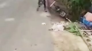 Collection of FUNNIEST VIDEOS PART 1 , Laughing Sins