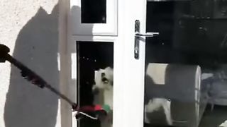 Kucing lucu 57