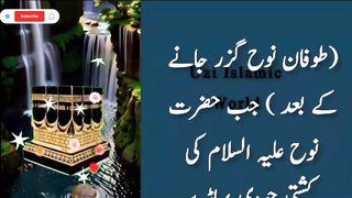 Why are pigeon's feet red? | کبوتر کے پاؤں سرخ کیوں ہوتے ہیں ؟