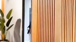 secret door
