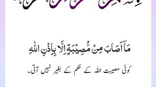 Quran , Al Quran Surah 64 Ayat 11 #viral #shorts #quran #youtubeshorts