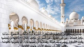 Sahih Muslim Hadees Number 839 - Chapter 4 - Chapter Prayers