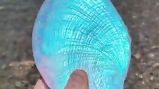 This Aural Abalone Shell Sculpture, handcrafted by Jeremy Sinkus. Made with dichroic glass that exhibits color shifts in the light.