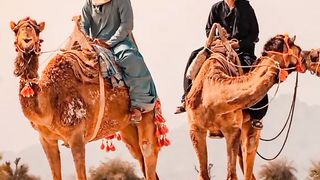 Baloshi song