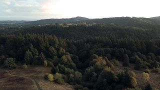 "Serene Wilderness: A Melody of Nature's Timeless Beauty"