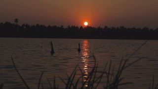 "Serenity's Canvas: Nature's Eternal Masterpiece"