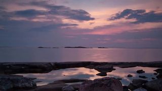 "Earthy Harmony: Capturing the Magic of Nature on Film"