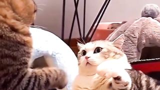 Mpus lagi mabok hahahahaha