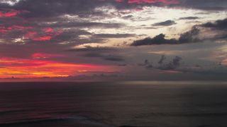 "Natural Awakening: A Cinematic Journey Through Ecosystems"