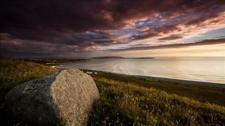 "Nature's Secrets Revealed in 4K Video"