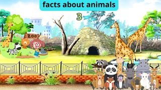 Facts about animals 3