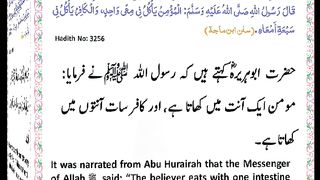 اسلامی معلومات 929