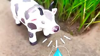 Shorts video 11