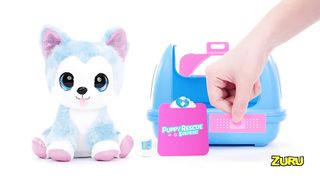 Pets Alive Pet Shop