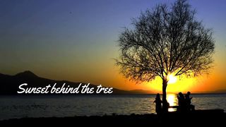 Sunset behind the tree